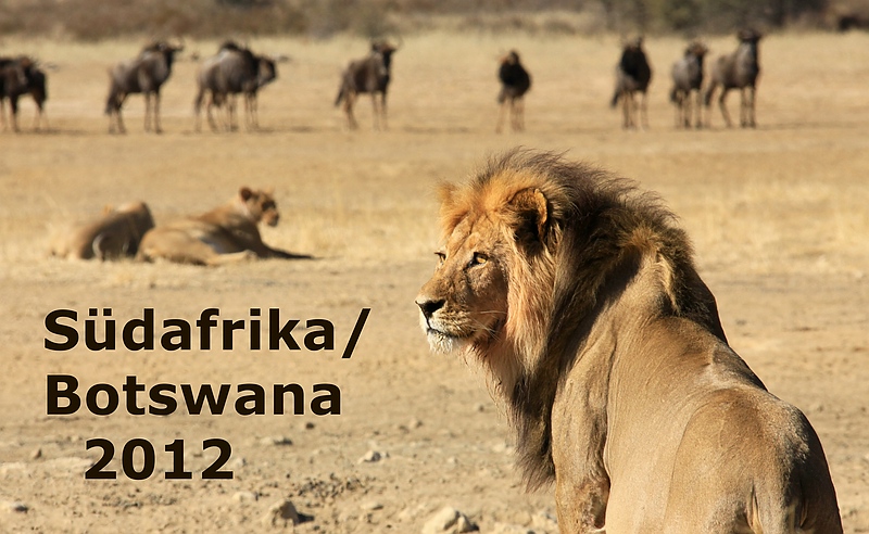 Südafrika/Botswana 2012