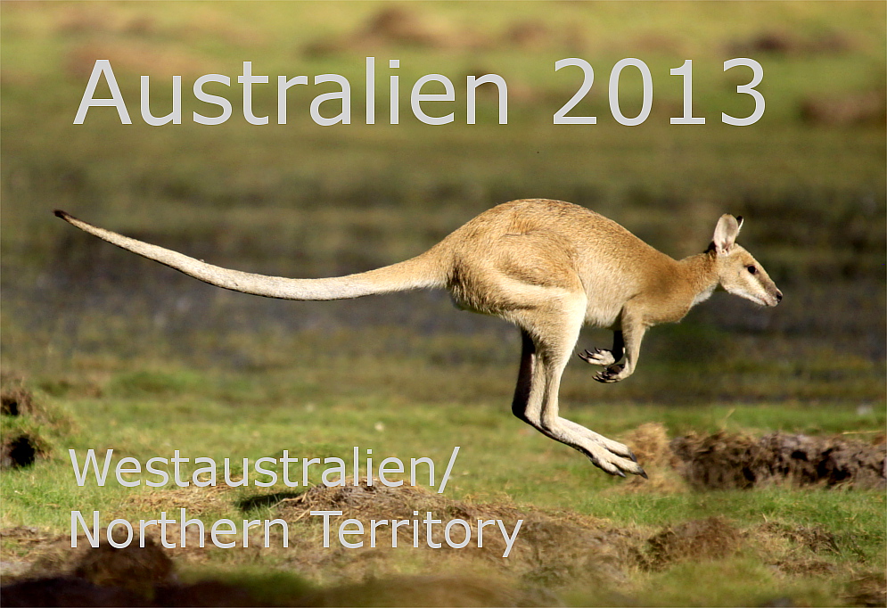 Australien 2013 Westaustralien Northern Territory